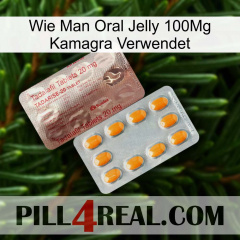 How To Use Oral Jelly 100Mg Kamagra new13